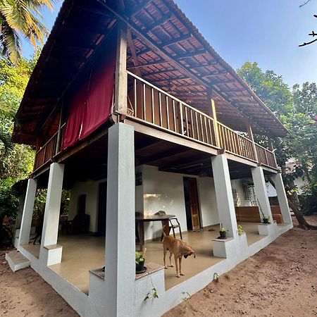 The Sunset Chalet Anjuna Εξωτερικό φωτογραφία